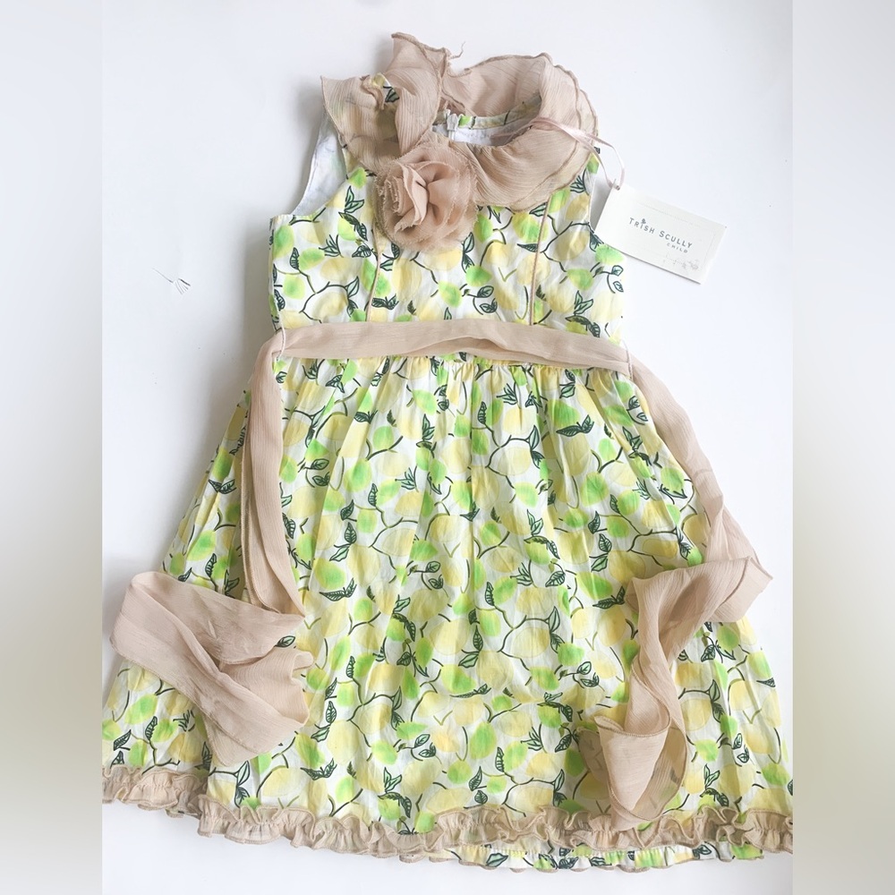 NWT Trish Scully size 12-18 Floral Dress